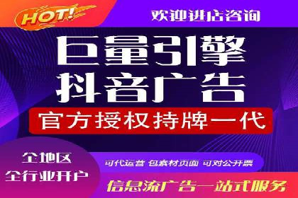 SEM运营推广策略：成功案例解析